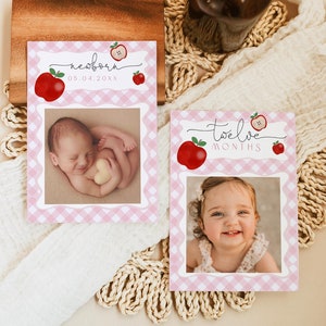 EDITABLE Apple Monthly Photo Banner, Pink Gingham Monthly Photos Tags, Plaid Fall First Birthday Decor, Printable Instant Download 817