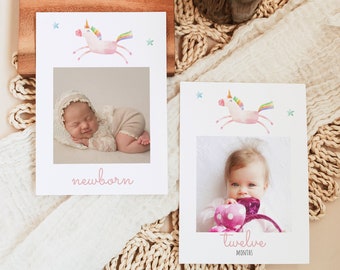 EDITABLE Unicorn Monthly Photo Banner, Simple Unicorn Monthly Photos Tags Printable, Magical Unicorn 1st Birthday Decor Instant Download 002