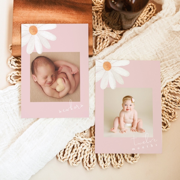 EDITIERBARE Daisy Monthly Photo Banner, Daisy Monthly Photos Tags Printable, Daisy First Birthday Decor, Floral Photo Tags Instant Download 345