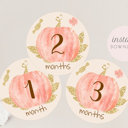 Pumpkin 1st Birthday Photo Banner Template Editable Little - Etsy
