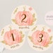 Printable Little Pumpkin 1st Birthday Photo Banner First - Etsy