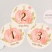 Printable Little Pumpkin 1st Birthday Photo Banner First - Etsy