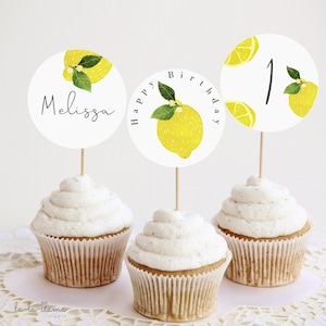 EDITIERBARE Zitronen Geburtstag Cupcake Toppers, Sunshine Lemonade und Fun Cake Toppers, Pink Lemonade 1. Geburtstag Dekor druckbar, Download 481