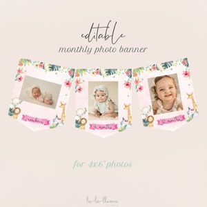 EDITABLE Jungle Animals Girl Monthly Photo Banner, Wild One Monthly Photos Tags Printable, Pink Safari 1st Birthday Decor, Download 341