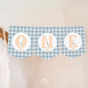 Boy One Silly Goose Birthday High Chair Banner Editable, Goose 1st Birthday Banner, Silly Goose First Birthday Garland, Digital Download 965