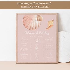 Seashell Birthday Invitation Editable, Let's Shellebrate 1st Birthday ...