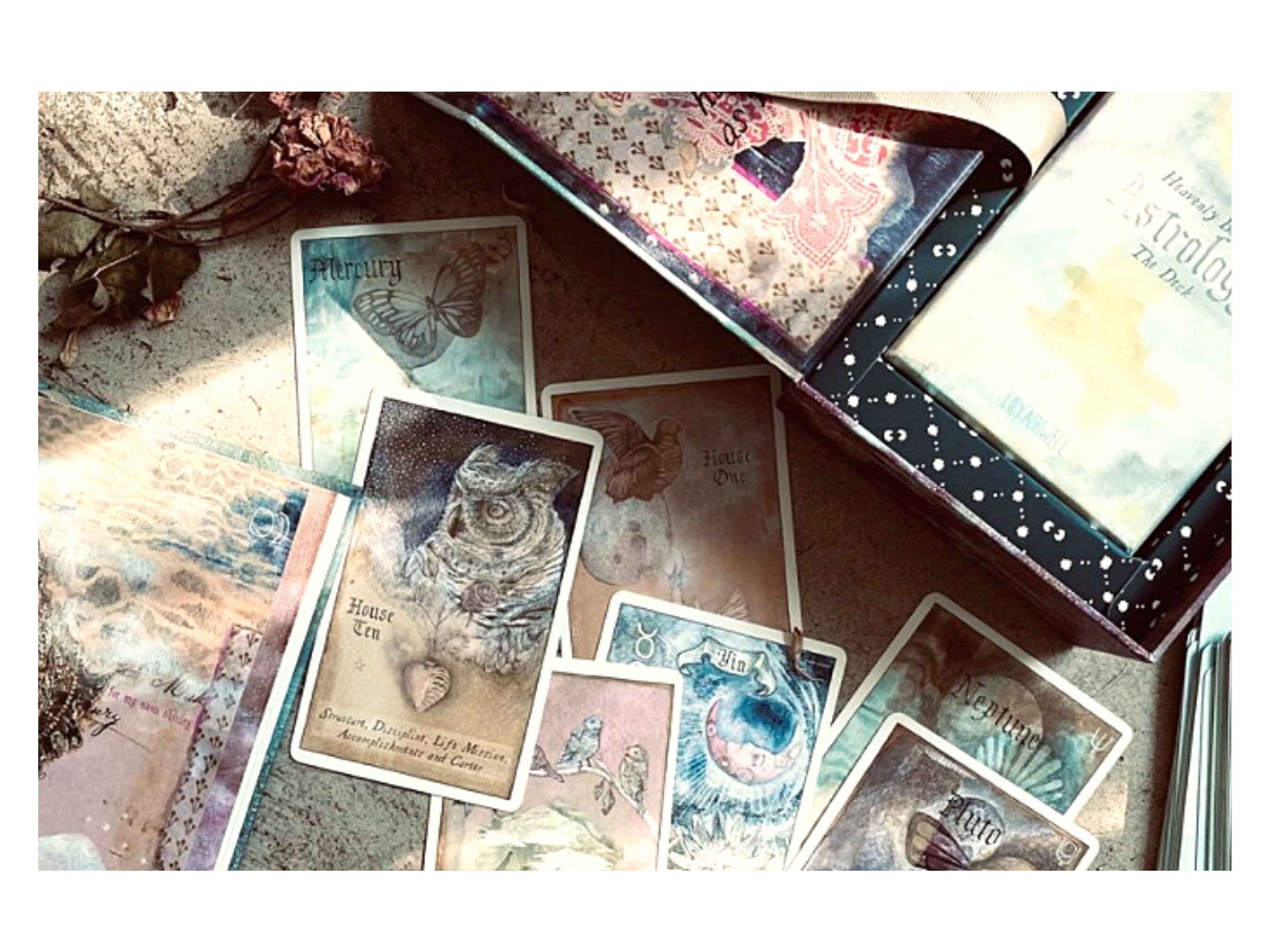 heavenly bodies astrology heavenly bodies astrology