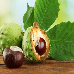Face Serum with horse chestnut