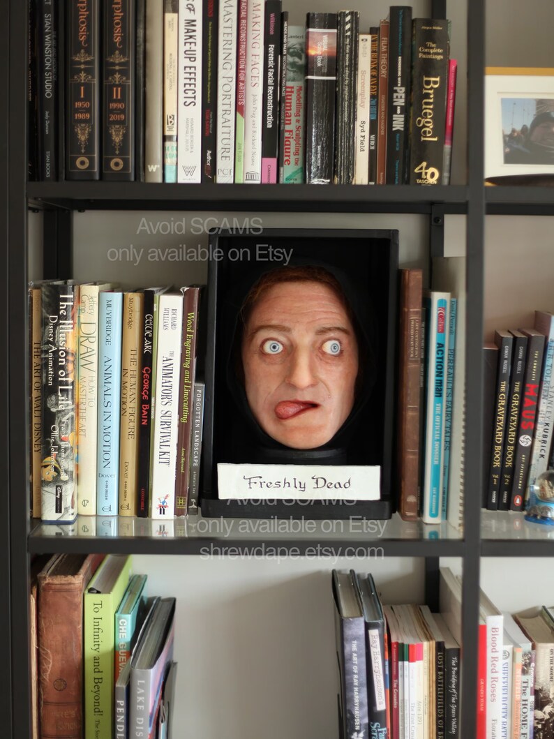 Igor Shelf Display. young Frankenstein 1974. Full - Etsy