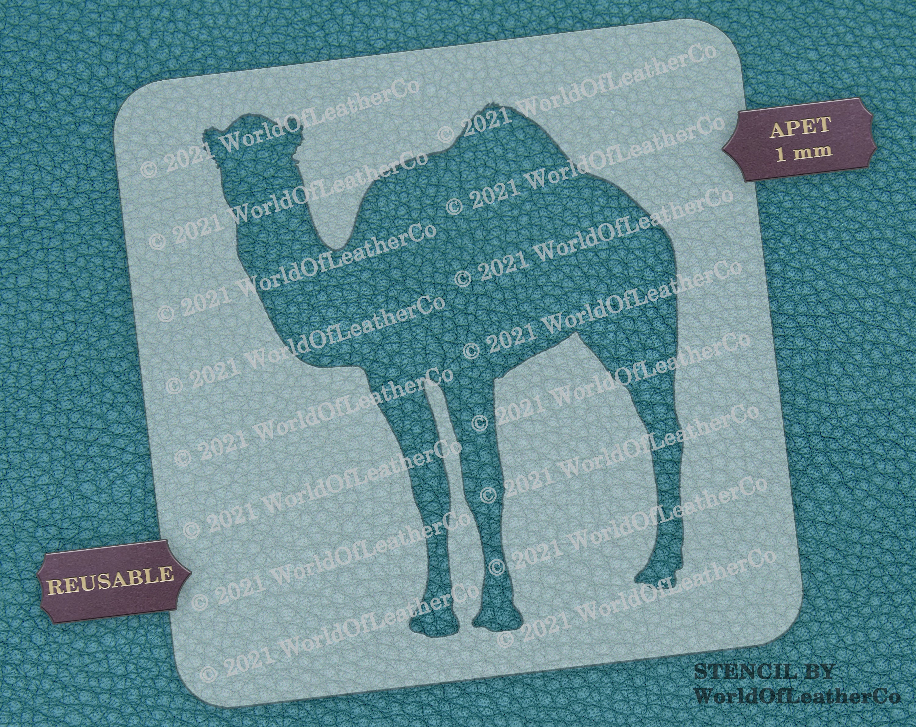Desert Camel Stencil l0124 | Etsy