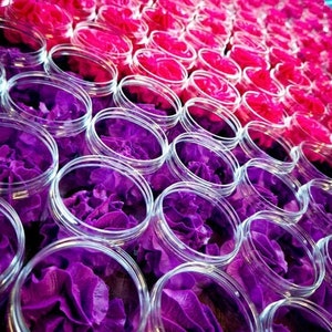 May include: Close-up of multiple clear glass jars filled with purple flowers. The jars are arranged in rows, creating a pattern of purple and clear.