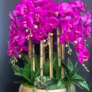 Può includere: Un grande arrangiamento di orchidee fucsia vibranti in un vaso dorato con fogliame verde. Le orchidee sono disposte attorno a steli di bambù.