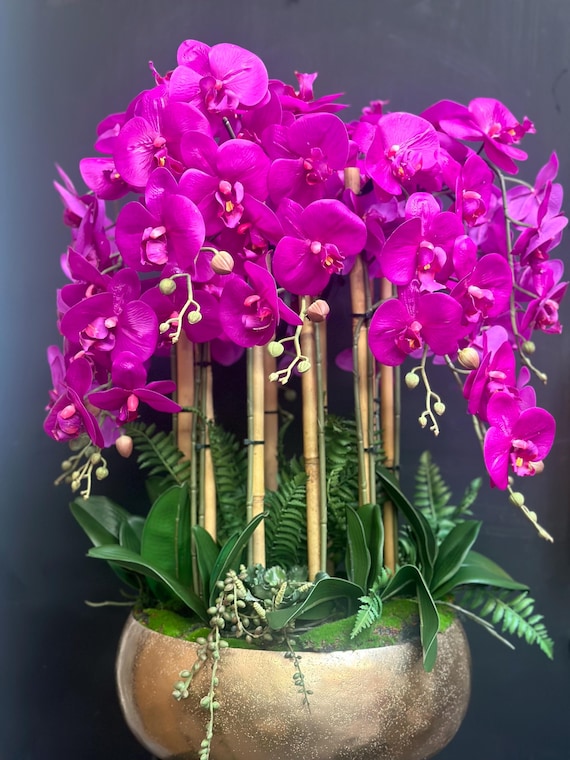 Pot à Orchidée Transparent Growth Technology 17 Cm - Idéal Pour Phalaenopsis, Permet Une Bonne Photosynthèse Des Racines