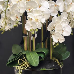 Può includere: Una grande composizione di fiori di orchidea bianchi con foglie verdi e steli di bambù in una ciotola nera. Le orchidee hanno petali delicati con centri gialli e arancioni. La composizione è su sfondo scuro.