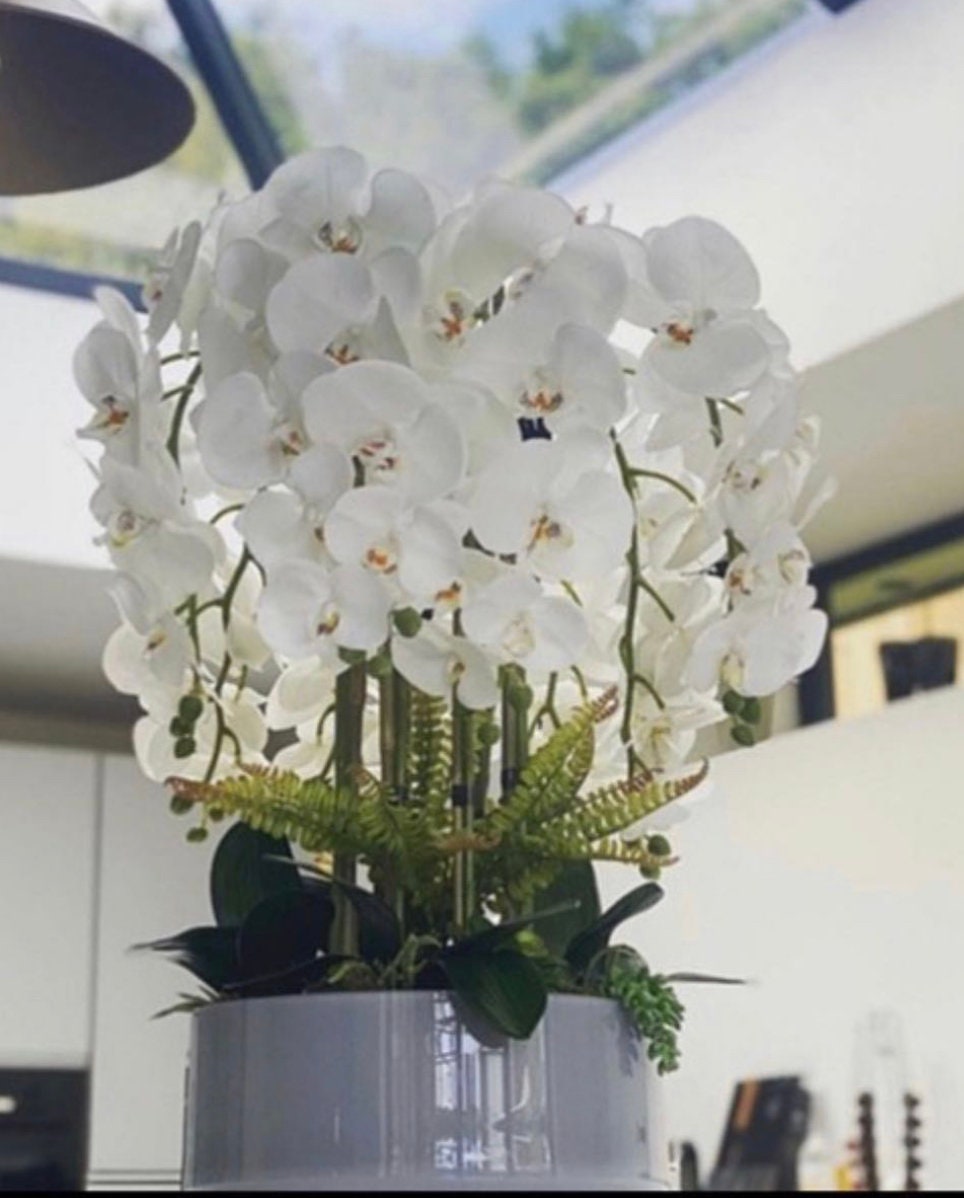 🤩 Orquídeas artificiales en varios modelos 🤩