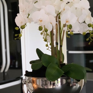 Silk White Orchid Arrangement: Silver Champagne Bowl Centerpiece