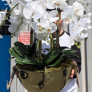 May include: A white orchid plant in a gold metal planter with a sign that reads "No Parking 24hr Access Required At All Times Thank You".