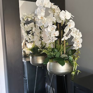 Può includere: Due piante di orchidee bianche in vasi argentati su supporti in metallo nero. Le piante sono davanti a uno specchio con cornice nera.