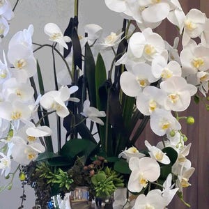 May include: A display of white orchids with yellow centers, complemented by dark green foliage and black ribbons, in a polished silver bowl. The arrangement features small green succulents and the text "LUSSO VITA DECOR".