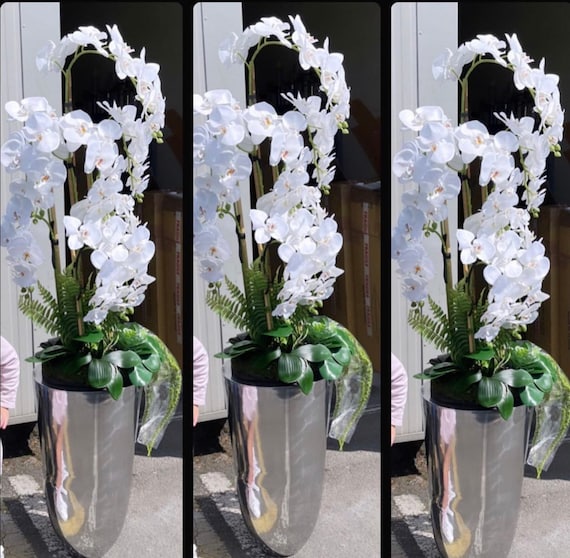 Hohe weie knstliche Orchideen-Arrangement: Chrom-Pflanzgef inklusive -  Etsy Schweiz