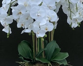 NEU! Weie Seide knstliche Orchidee in gold Messing Metalltopfvase mit  Blttern. - Etsy.de
