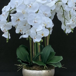 NIEUW! Witte zijden kunstorchidee in goudmessing metalen potvaas met bladeren.