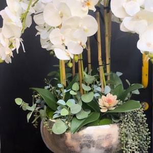 May include: A white orchid plant arrangement in a silver bowl with green foliage and a succulent. The arrangement is on a black pedestal with the text "LUSSO VITA DECOR" below.