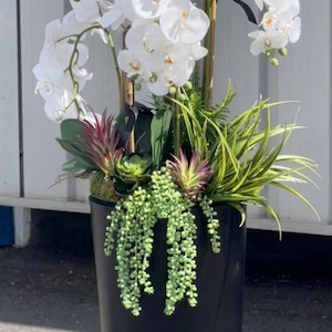 Extra Tall Faux Orchid Arrangement – Black Planter with Succulent Accents