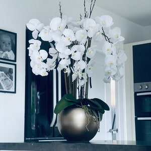 May include: A white orchid plant in a large, round, metallic gold pot. The plant is in a modern kitchen setting.