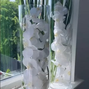 Puede incluir: Dos jarrones cilíndricos de vidrio transparente llenos de orquídeas blancas de seda y tallos verdes. Los jarrones están sobre un alféizar de ventana blanco.