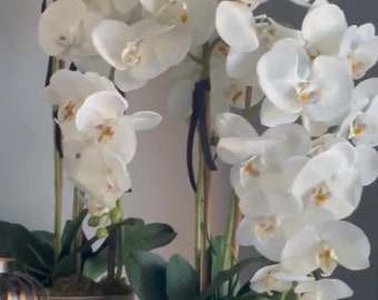SET DI DUE composizioni di orchidee artificiali in vasi di vetro. -   Italia