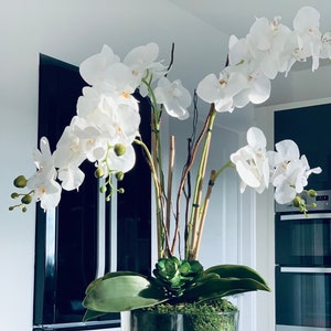 以下が含まれることがあります： 透明なガラスの花瓶に白い蘭の花がアレンジされ、緑の葉と苔が添えられています。花瓶は黒い表面の上に置かれています。
