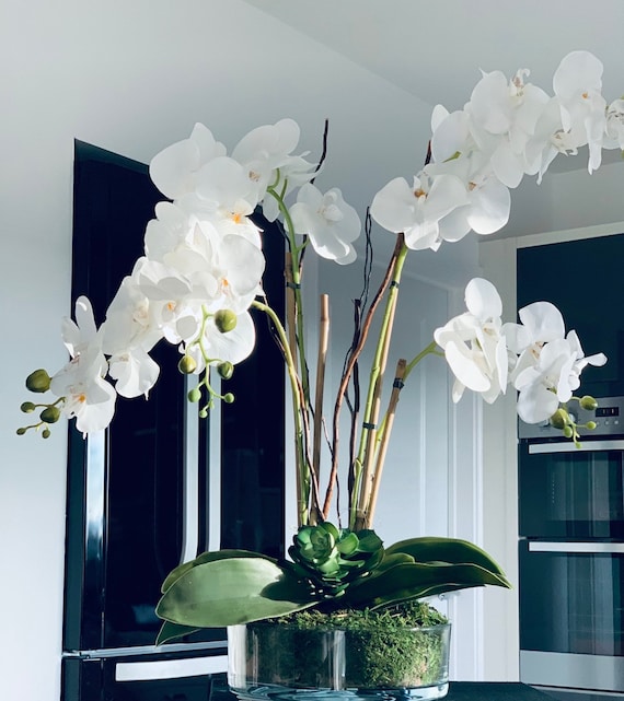 BESTSELLER!! Hohe knstliche knstliche flache Schale Weide Orchidee  Arrangement Blatt Sukkulenten Vase. - Etsy sterreich