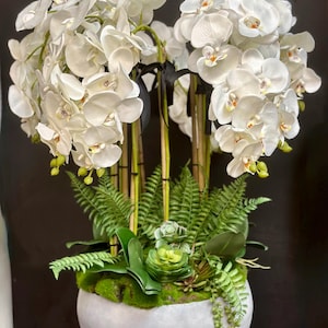 May include: A white ceramic planter with a large arrangement of white orchid flowers and green ferns. The planter has a rounded shape and a smooth, white finish.