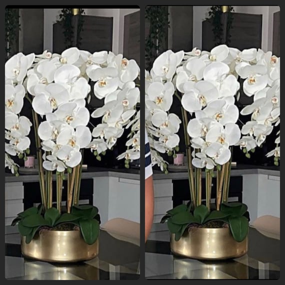 Vaso Speciale Per Orchidee Di Terracotta Fatto A Mano