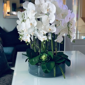 Può includere: Un arrangiamento di orchidee bianche in un vaso grigio con fogliame verde. Le orchidee sono in piena fioritura e hanno un aspetto delicato e femminile.