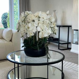 May include: A black glass-top coffee table with a mirrored bottom shelf. A white orchid plant in a black pot sits on the top shelf.