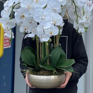 May include: A large arrangement of white orchid flowers with green leaves in a gold-colored textured bowl. The orchids have multiple blooms and are arranged to create a full, lush display. The bowl has a hammered metal appearance.