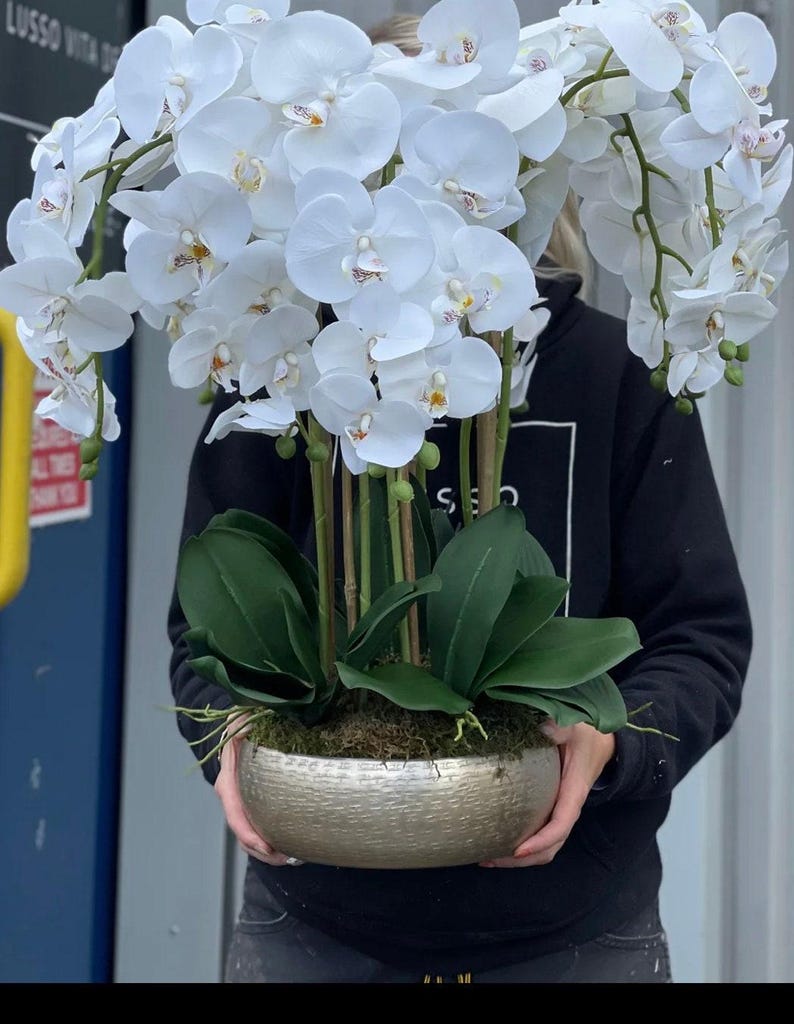 May include: A large arrangement of white orchid flowers with green leaves in a gold-colored textured bowl. The orchids have multiple blooms and are arranged to create a full, lush display. The bowl has a hammered metal appearance.
