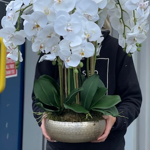 Compre Plantas Artificiales Baratas Para Decoración De Macetas Al Aire  Libre, Maceta De Casa Y Jardín Al Aire Libre, Las Mejores Plantas De Maceta  Al Aire Libre y Maceta Exterior de China