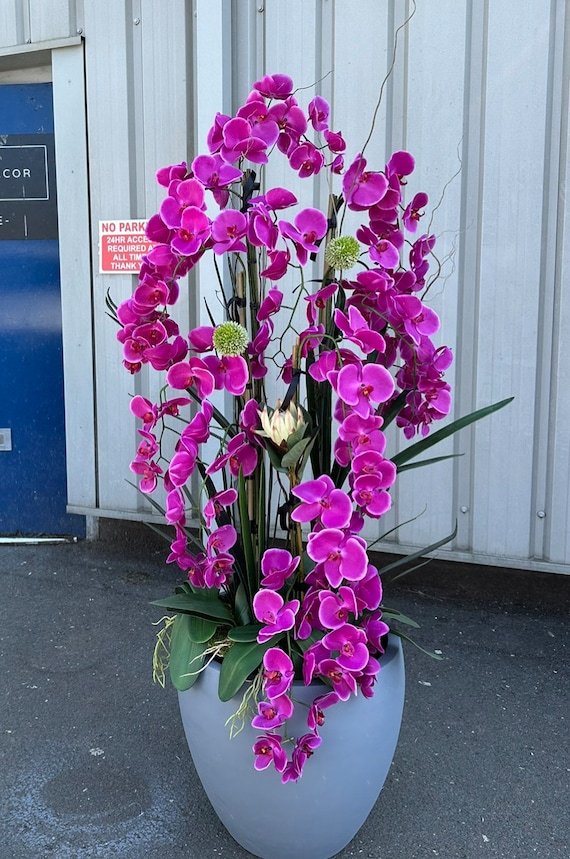 Hohe knstliche Orchideen-Arrangement  Real Touch Cerise knstliche  Orchideenpflanze  160 cm Boden-Orchidee  Haus- oder Brodekor. - Etsy  sterreich