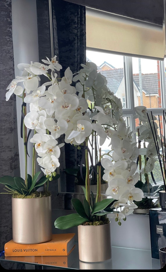 SET DI DUE composizioni di orchidee artificiali in vasi di vetro.
