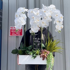 May include: A white rectangular planter containing a variety of green plants and white orchids. The planter is sitting on a table and the orchids are in full bloom.