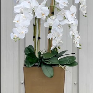 Può includere: Una pianta di orchidea bianca con più steli in un vaso dorato. La pianta è in un vaso alto, rettangolare con una superficie testurizzata.