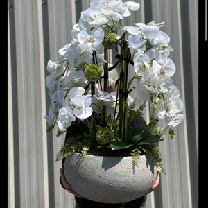 May include: A large white orchid arrangement in a grey concrete pot. The orchids are in full bloom and have long stems. The pot is round and has a textured surface.