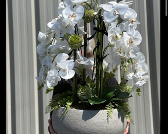 以下が含まれることがあります： 灰色のコンクリート製の鉢に、白い蘭の花の大きなアレンジメント。蘭の花は満開で、長い茎があります。鉢は丸く、表面にテクスチャがあります。