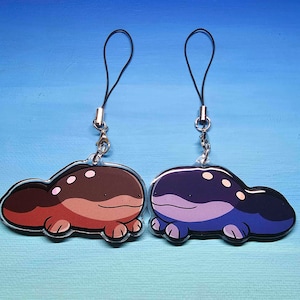 Double-Sided Clodsire Charm