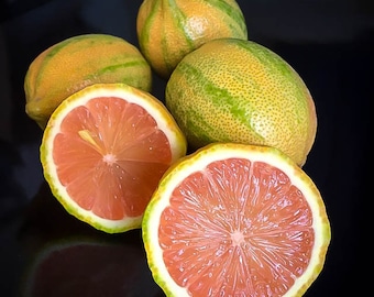 Pode incluir: Quatro limões, dois dos quais cortados ao meio, revelando uma polpa rosa. Os limões têm uma casca listrada amarela e verde.