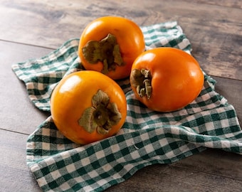 Persimmon Tree: 4+/-Tall, 3 plus Years Old Tree , Fruiting Age