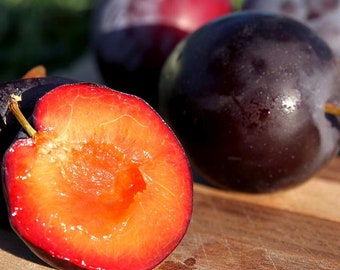 May include: A close-up of a halved red plum with a bright orange interior. Three whole plums are in the background, two are dark purple and one is a lighter shade of purple.